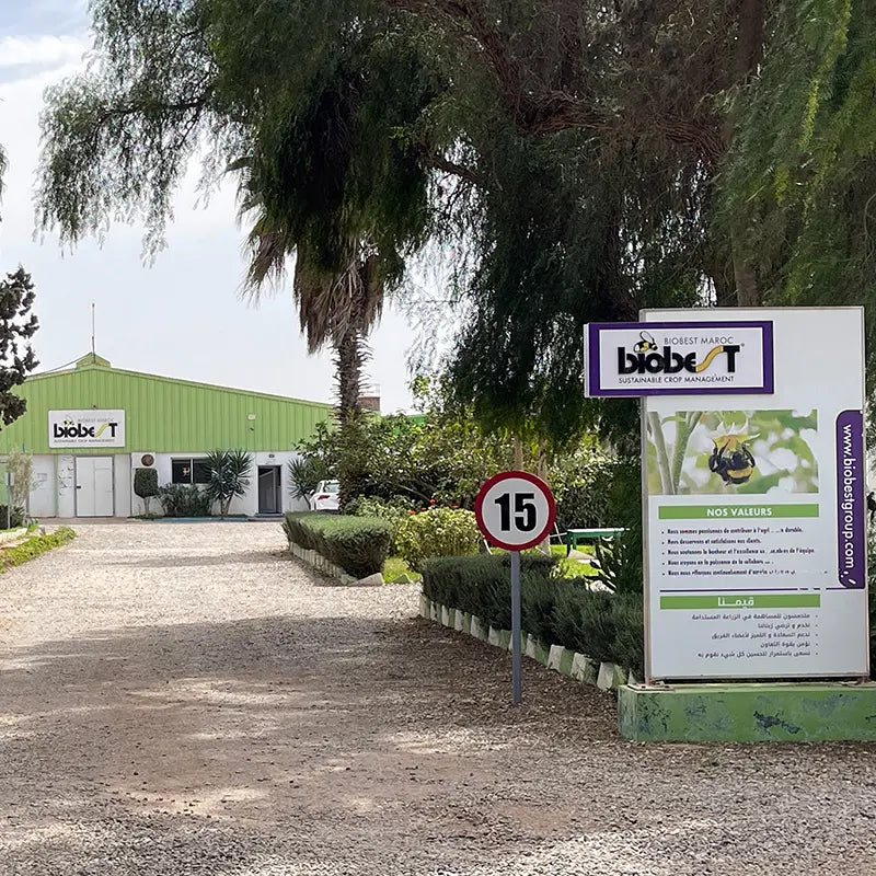 1998-joint-ventures-morocco