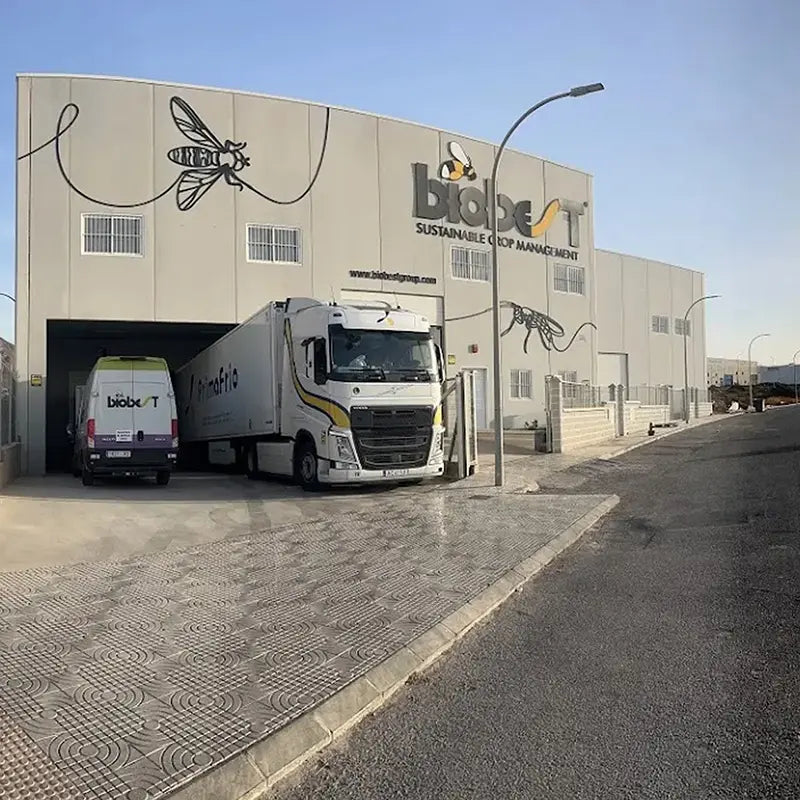 2001-sistemas-biologicos-sl-created