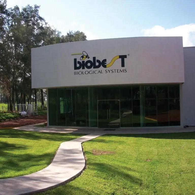 2009-biobest-mexico-created
