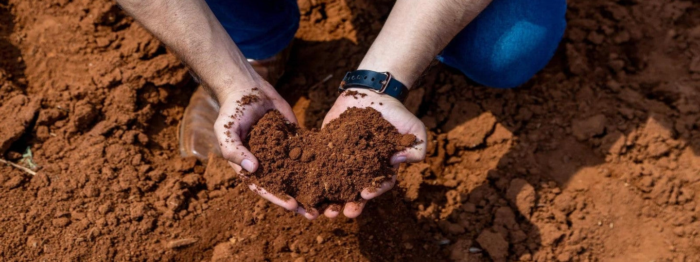 biofirst sustainability