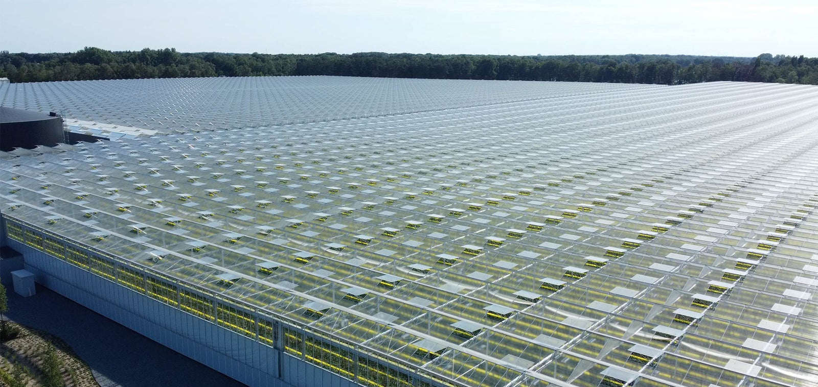 biofirst carbon neutral