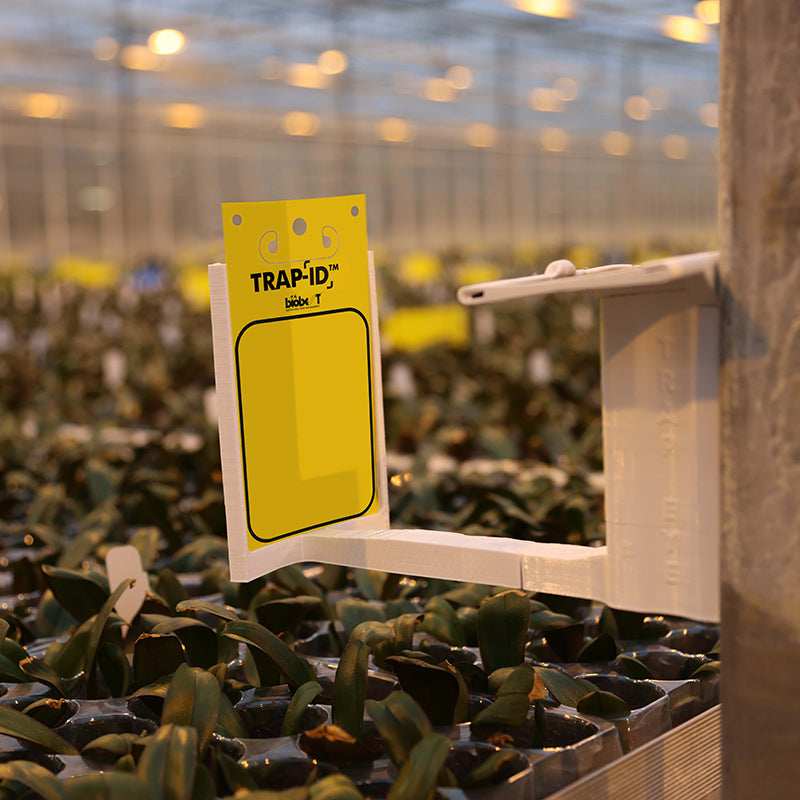 biobest hightech trap id