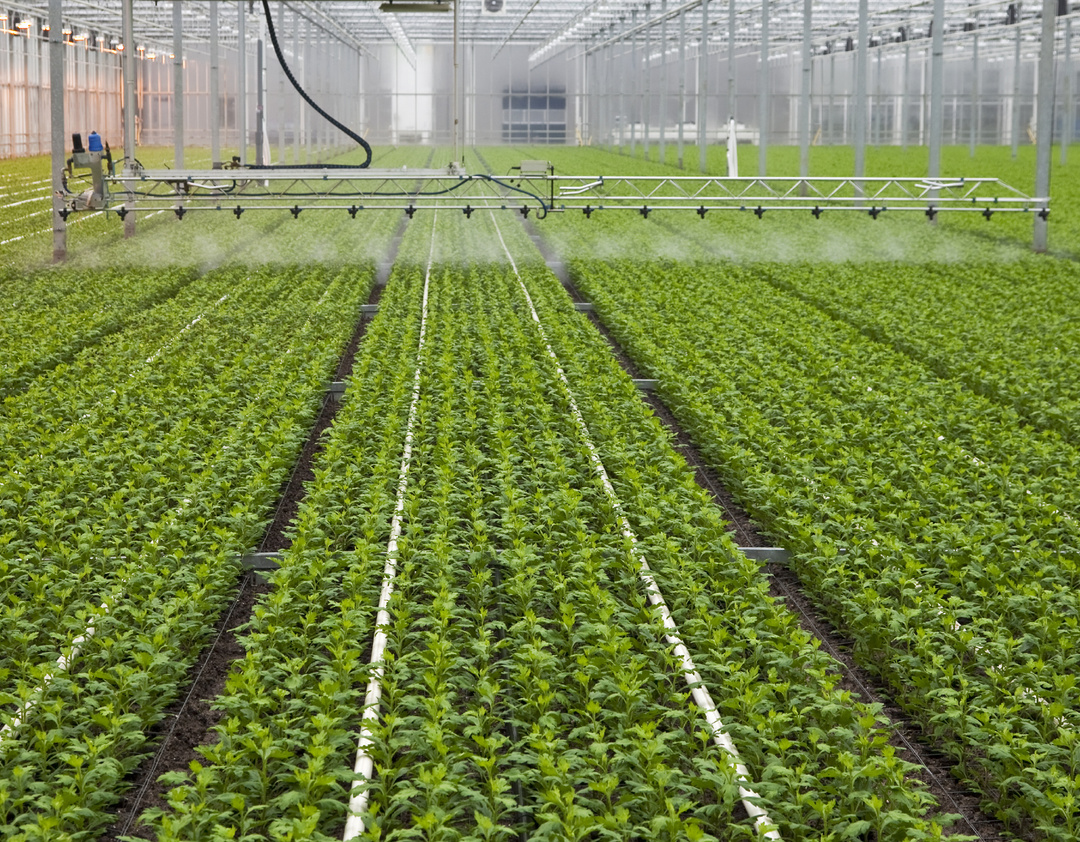 plant products crop protection