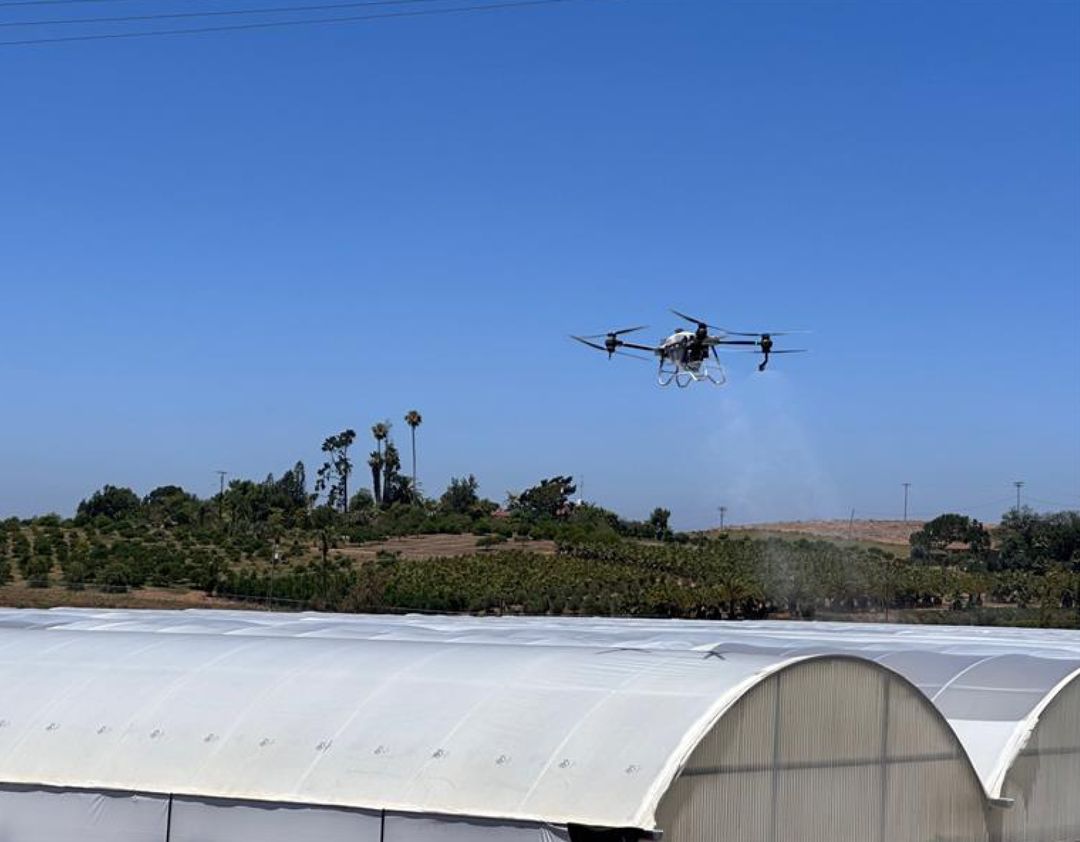 plant products innovative consumables