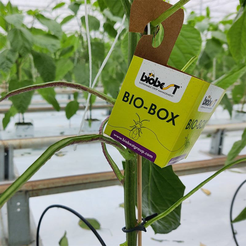 biofirst supporting products biobox