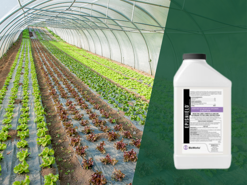 BioWorks Introduces EpiShield™ to provide superior insect control for greenhouse and outdoor crops