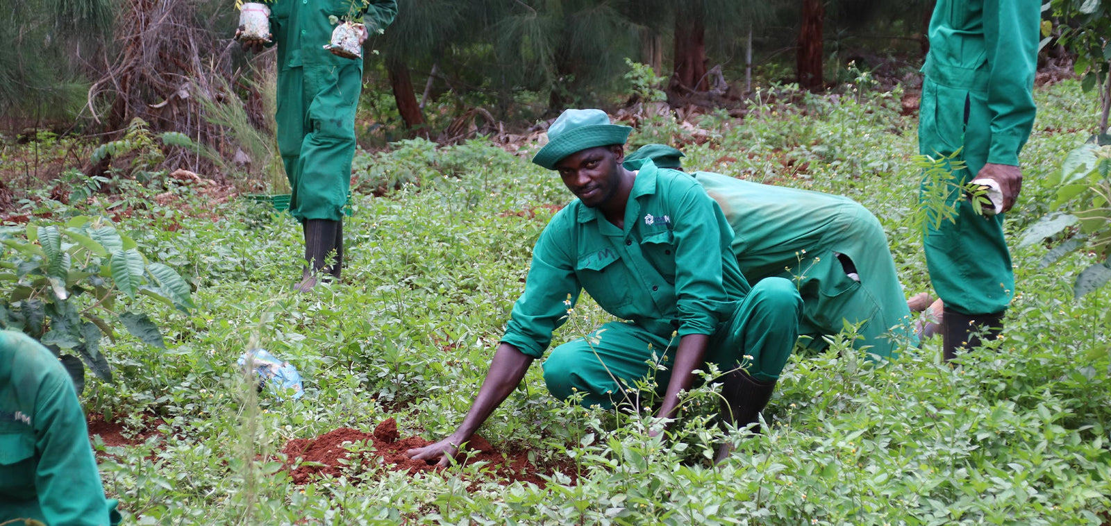 biofirst planting in kenya
