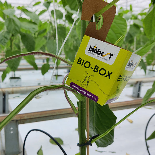 About Biobest – BioFirst Group